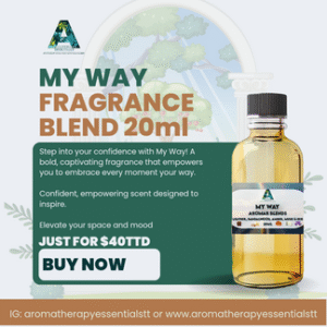 My Way Fragrance Blend 20ml